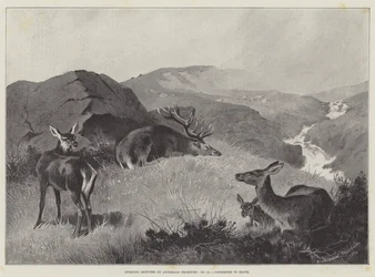 Sportliche Skizzen, zum Tode verurteilt